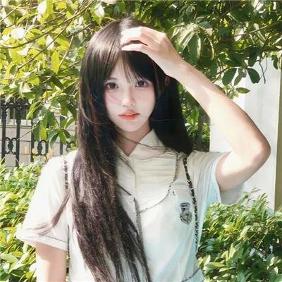 呆子2